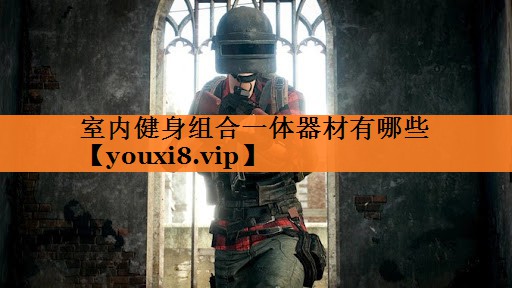 室内健身组合一体器材有哪些