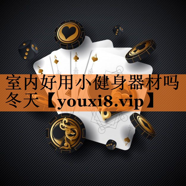 室内好用小健身器材吗冬天